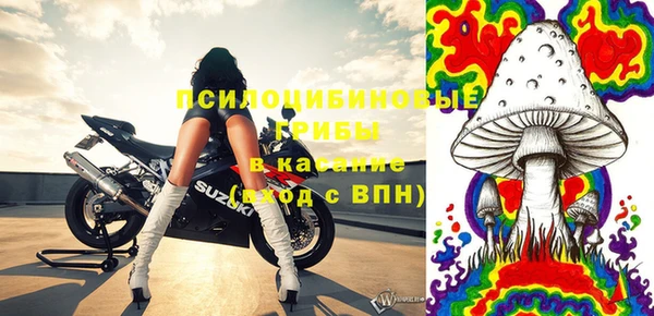 ПСИЛОЦИБИНОВЫЕ ГРИБЫ Балахна