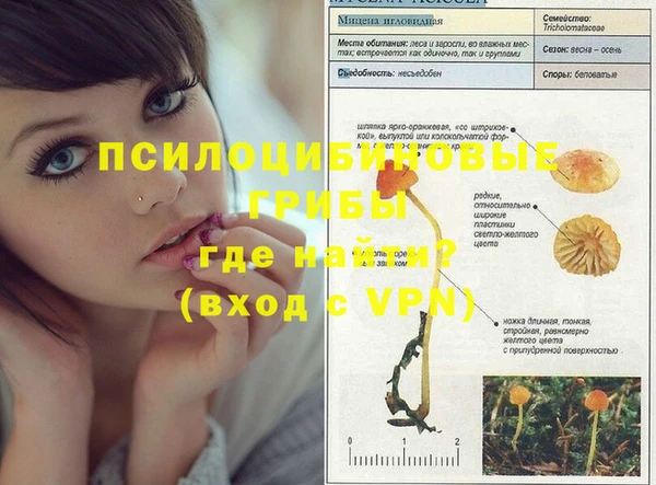 хмурый Баксан