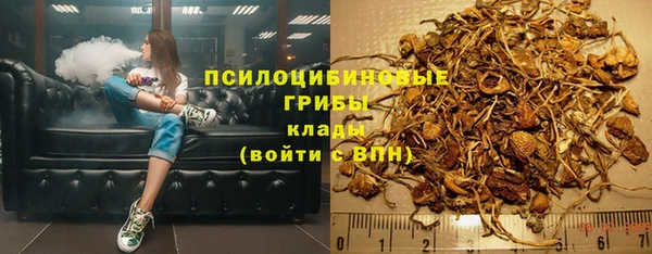 ПСИЛОЦИБИНОВЫЕ ГРИБЫ Балахна